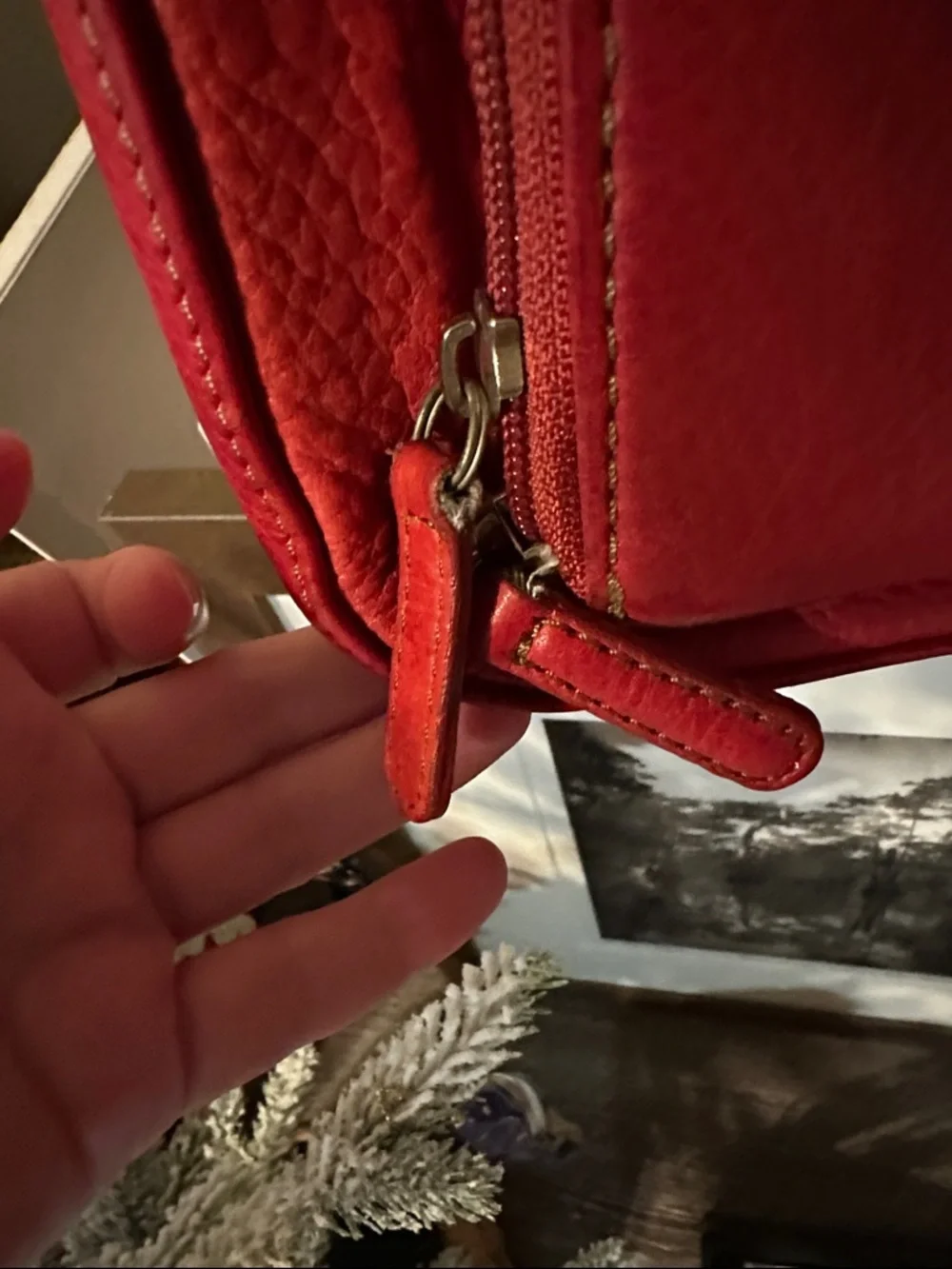 Fossil Red Pebbled Leather Crossbody Bag - Picture 5 of 14